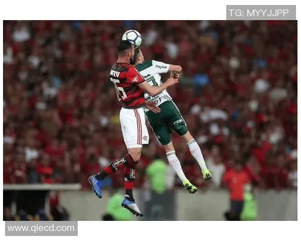 巴勒斯坦人对抗弗拉门戈的激烈较量与精彩瞬间回顾